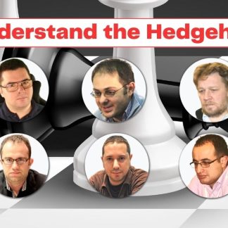 Understand the Hedgehog