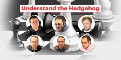Understand the Hedgehog