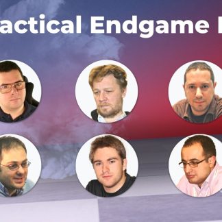 Practical Endgame Play